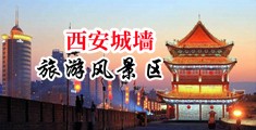 抽插无毛中国陕西-西安城墙旅游风景区